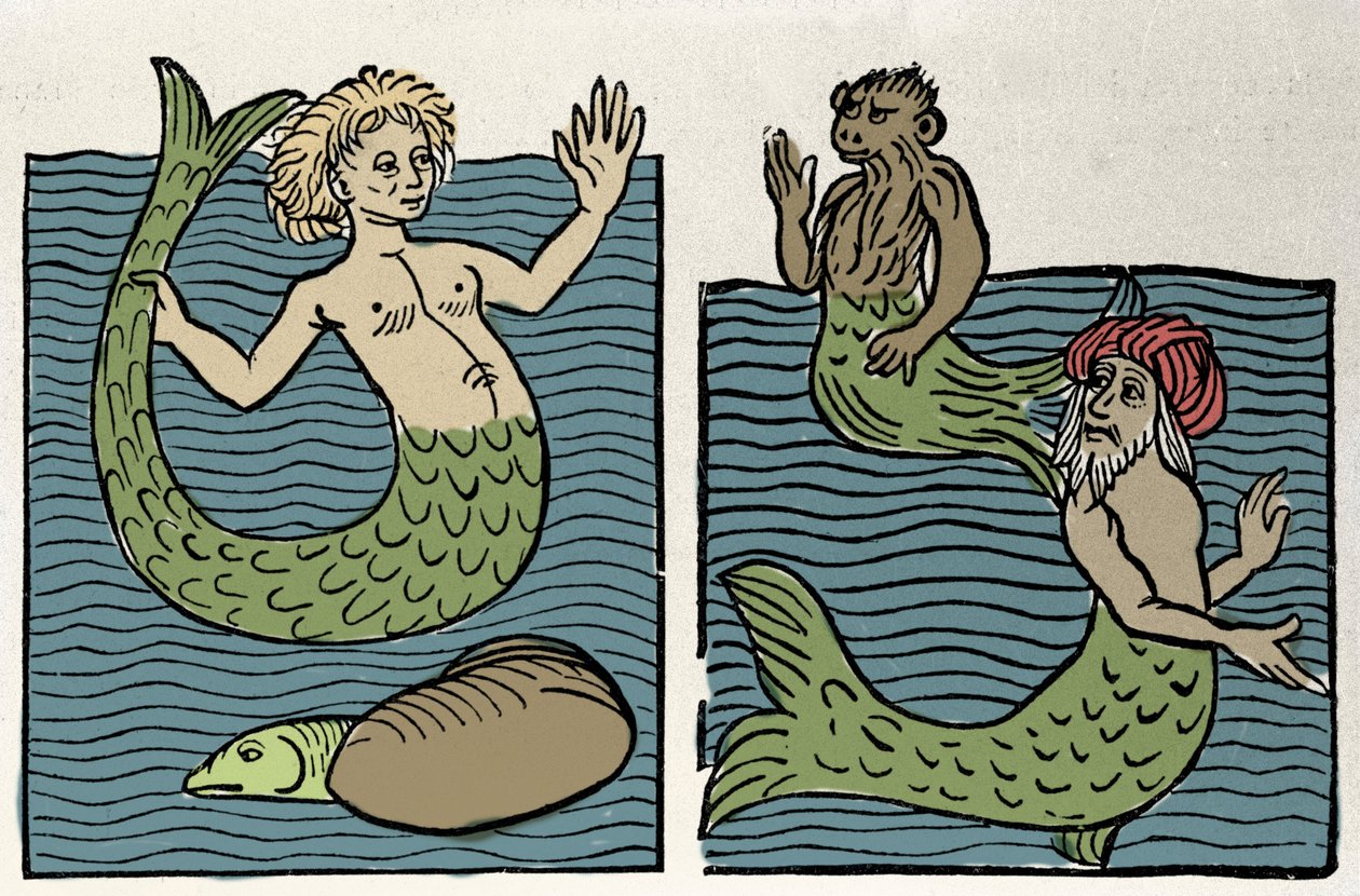 Sirene oder Jungfrau des Meeres, Affe und Seetürke. Gravur aus „Hortus sanitatis“ von Unknown artist