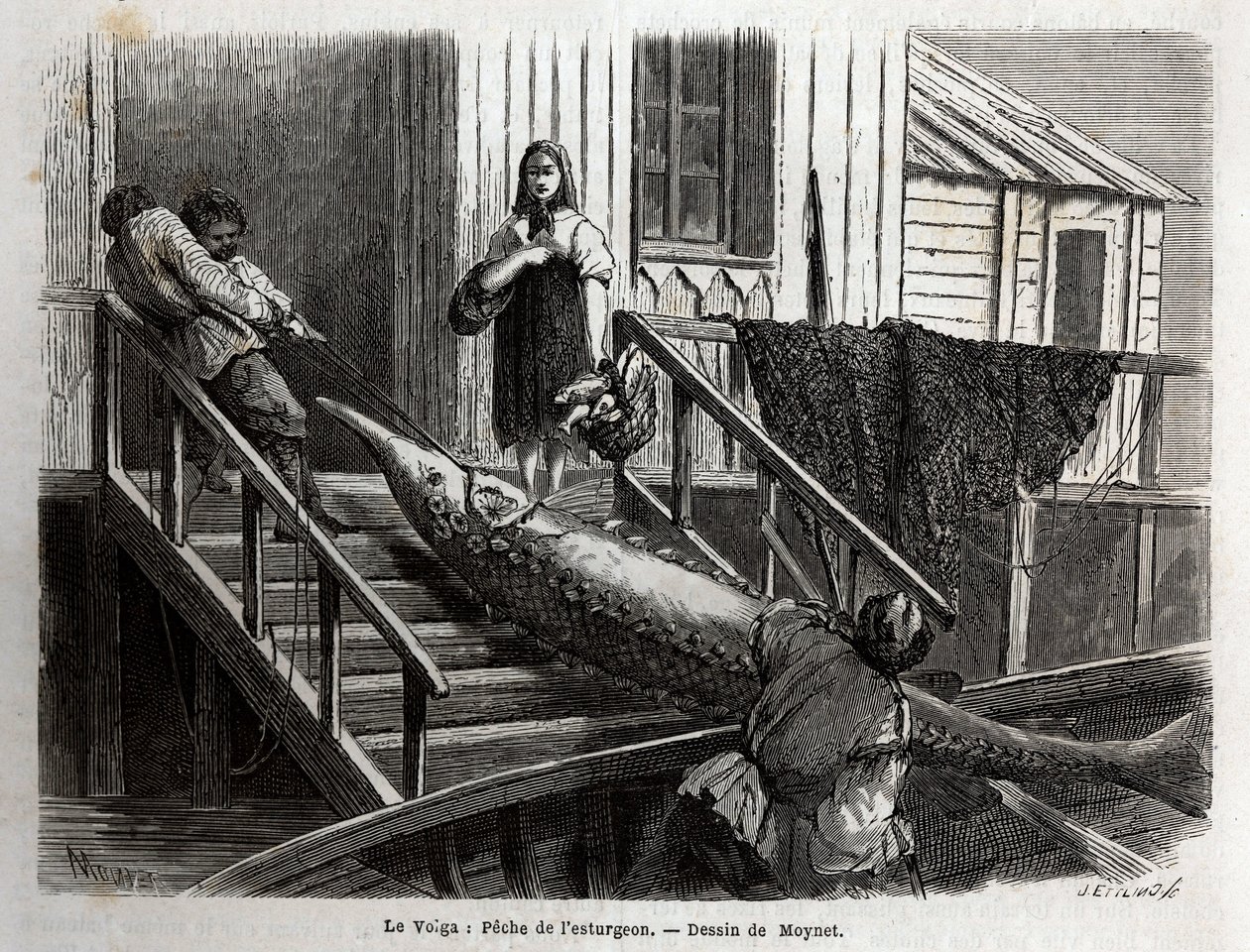 Störfischerei an der Mündung des Flusses Wolga. Gravur zur Illustration der Reise auf der Wolga von M. Moynet, im Jahr 1864, in „Le tour du monde, nouveau journal des voyages“, veröffentlicht unter der Leitung von Edouard Charton von Unknown artist