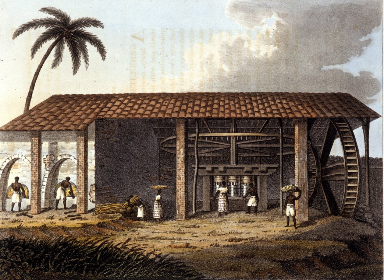 Zuckerfabrik, Antillen von Unknown artist
