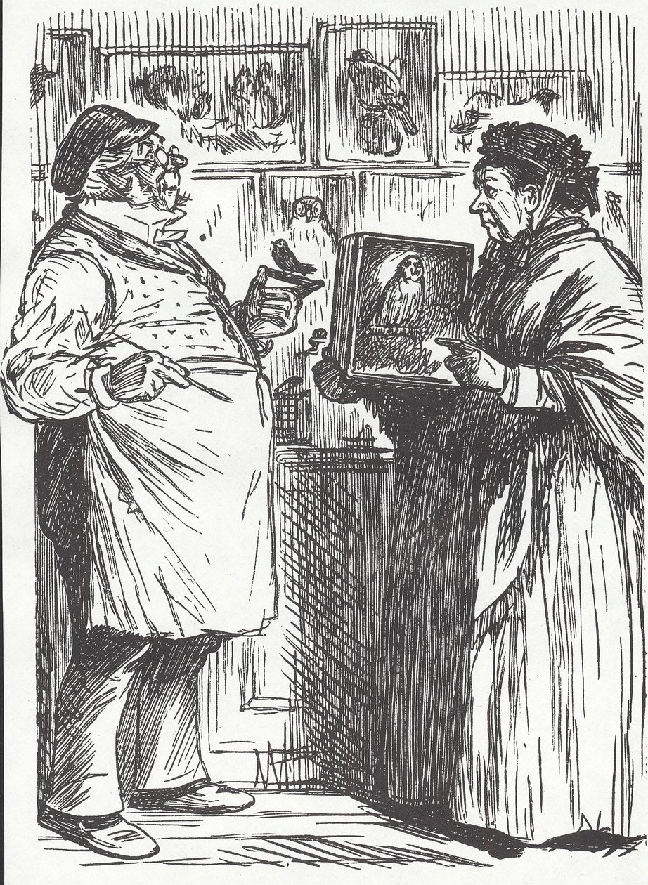 Präparator, spätes 19. Jahrhundert von Unknown artist