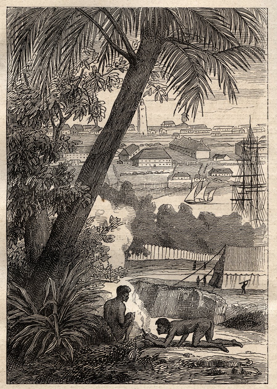 Die Expedition in die südlichen Länder (1800-1803) von Nicolas Baudin (1754-1803): Ansicht von Sydney (Australien) - Illustration aus „Die großen Seefahrer des 18. Jahrhunderts“ von Unknown artist