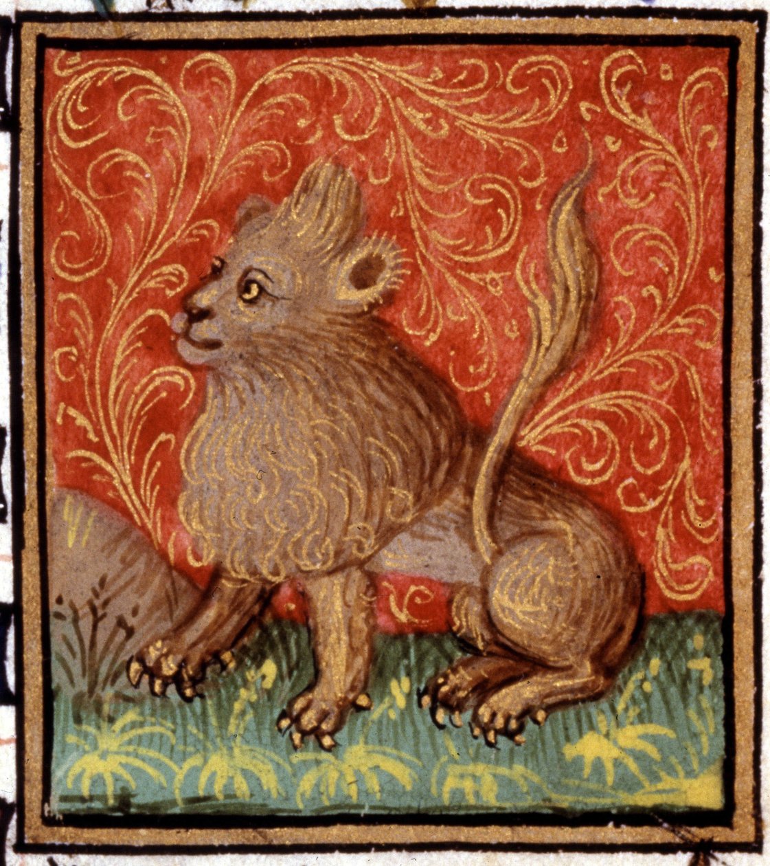 Der Löwe. Miniatur eines Horoskops. Manuskript aus dem 15. Jahrhundert. Bibl. Trivulziana, Mailand. von Unknown artist