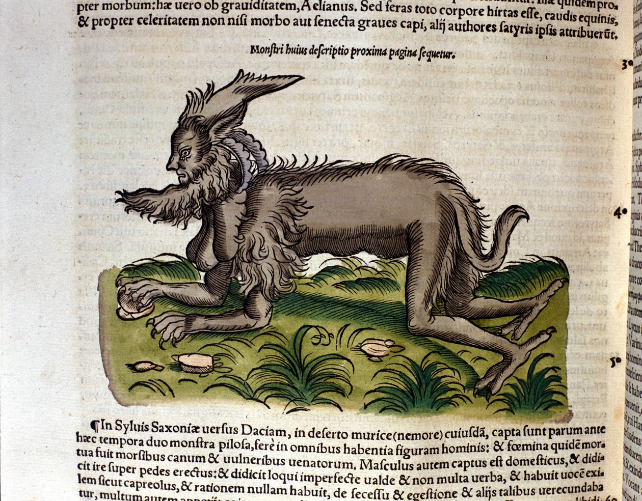 Der Manticore aus der Historia Animalium von Conrad Gesner, Tiguri 1560. Biblioteca nazionale Braidense. Mailand von Unknown artist