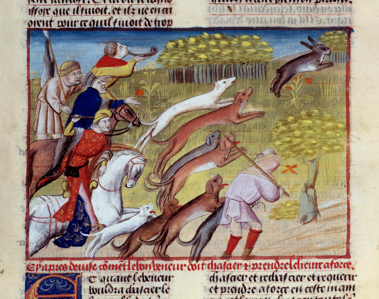 Die Miniatur Hasenjagd aus „Das Buch der Jagd“ von Gaston III Phoebus, Graf von Foix, Herr von Béarn (1331-1391) von Unknown artist