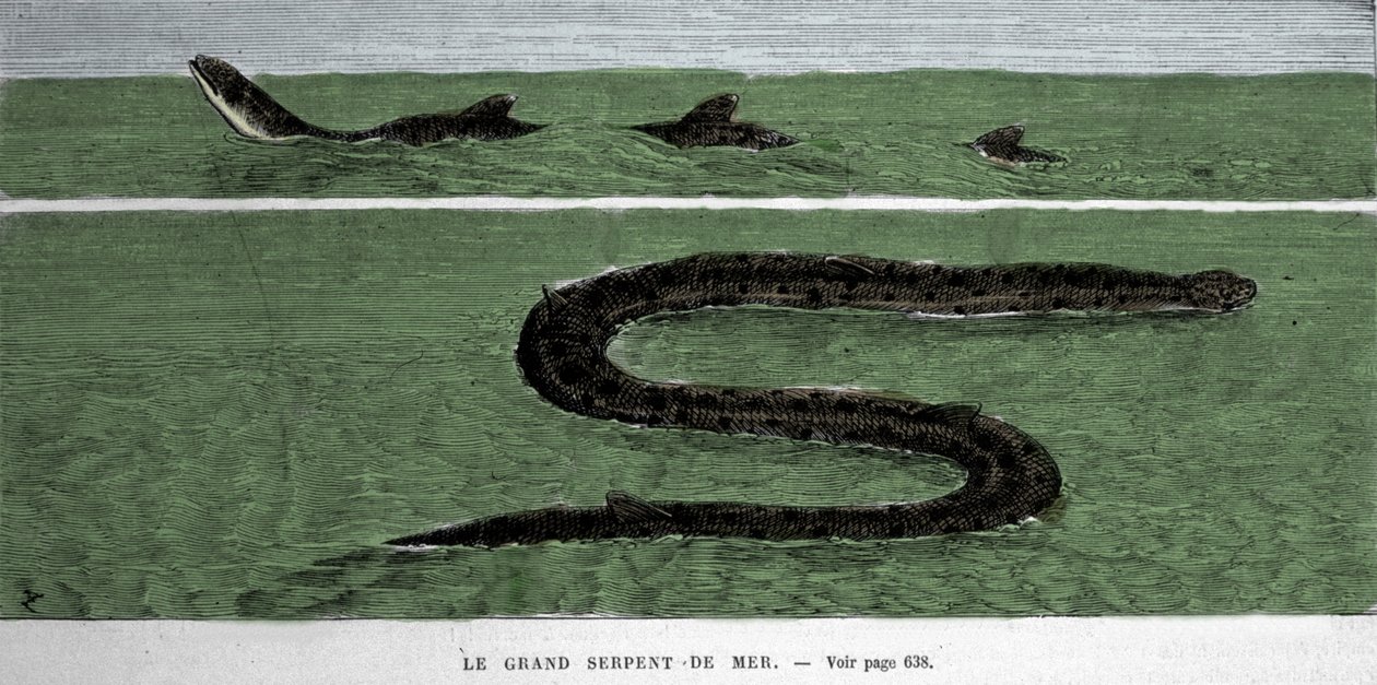 Die Seeschlange, beobachtet 1872 im südlichen Atlantik. von Unknown artist