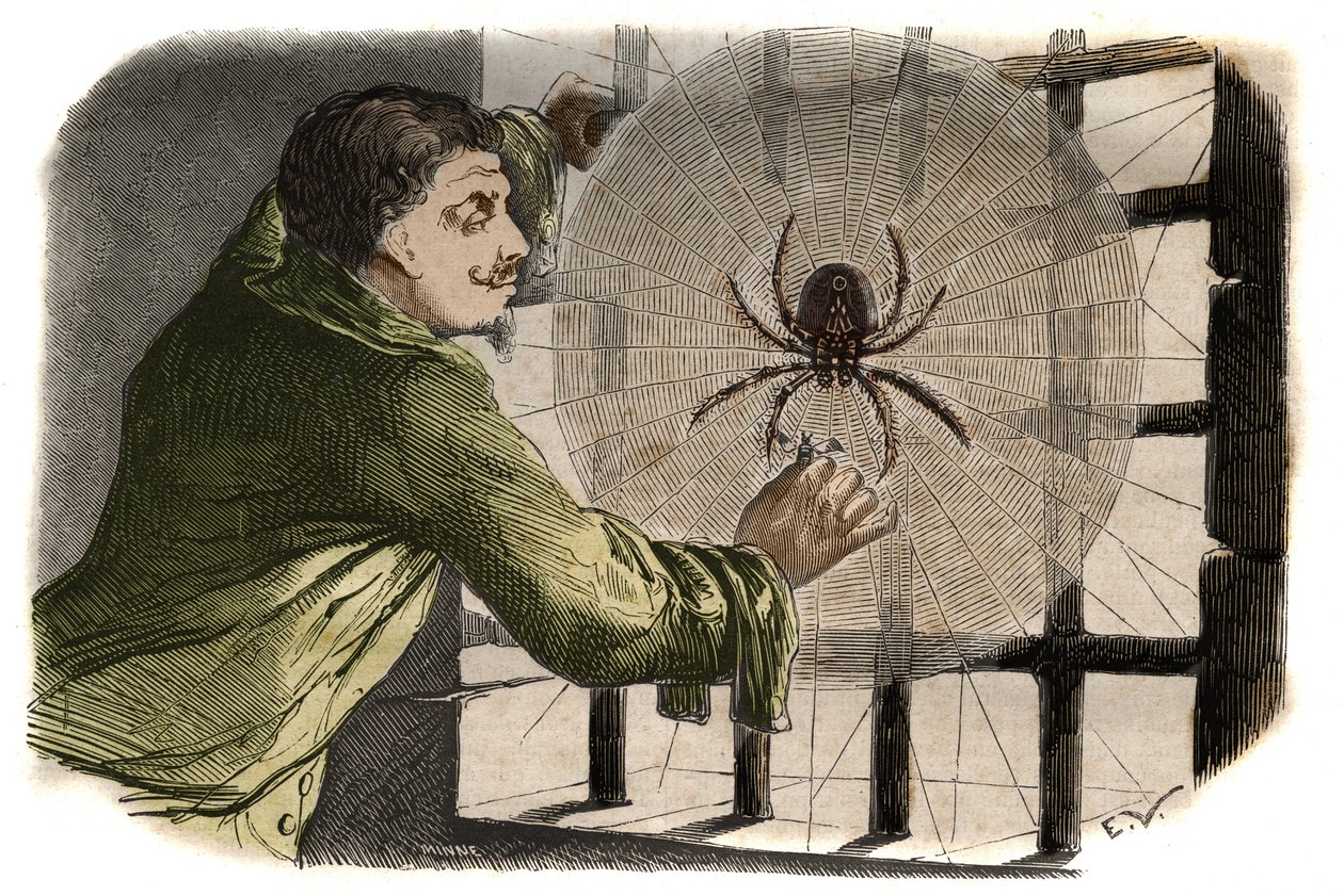 Der Schriftsteller Paul Pellisson (Paul Pellisson-Fontanier genannt) (Pellisson Fontanier) (1624-1693) zähmt eine Spinne während seiner Gefangenschaft in der Bastille. Gravur von 1858 in „Le Musée Des Sciences“ von Unknown artist