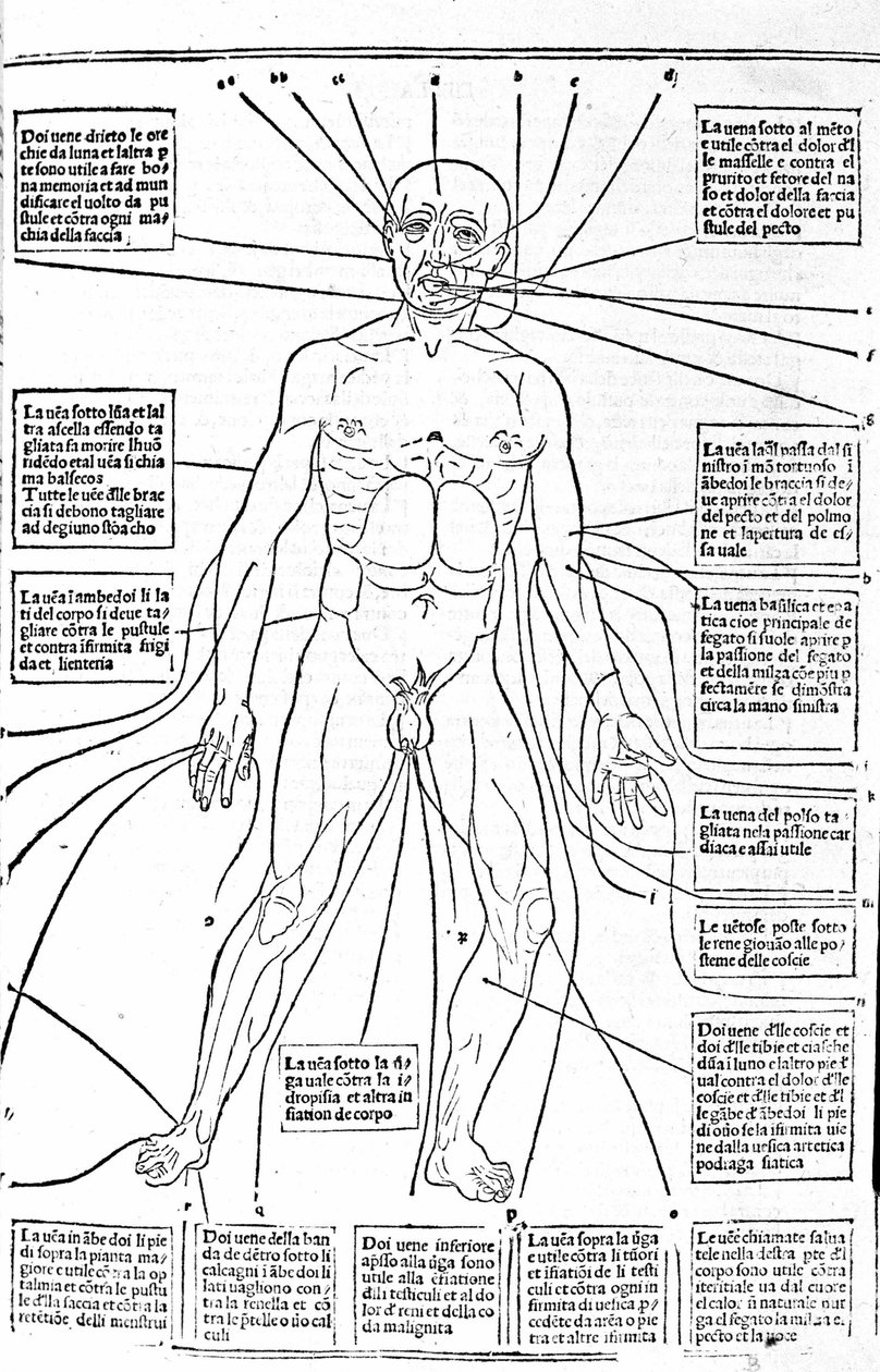 Dieses Bild zeigt die Stellen des Körpers oder die Praxis des Aderlasses je nach Schmerz. Abhandlung der Medizin von Gerolamo Cardano (Cardanus Hieronymus), Florenz von Unknown artist