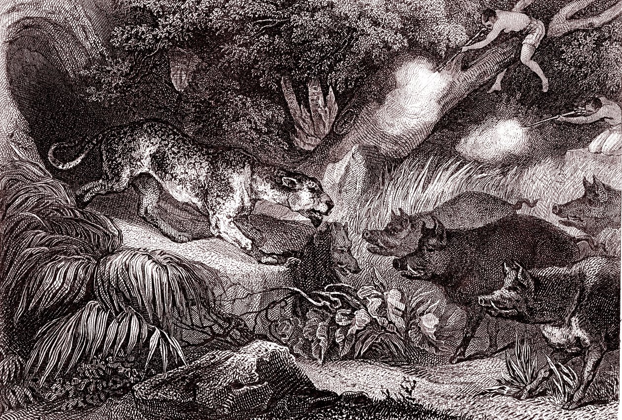 Tigerjagd im Amazonaswald (Gravur) von Unknown Artist