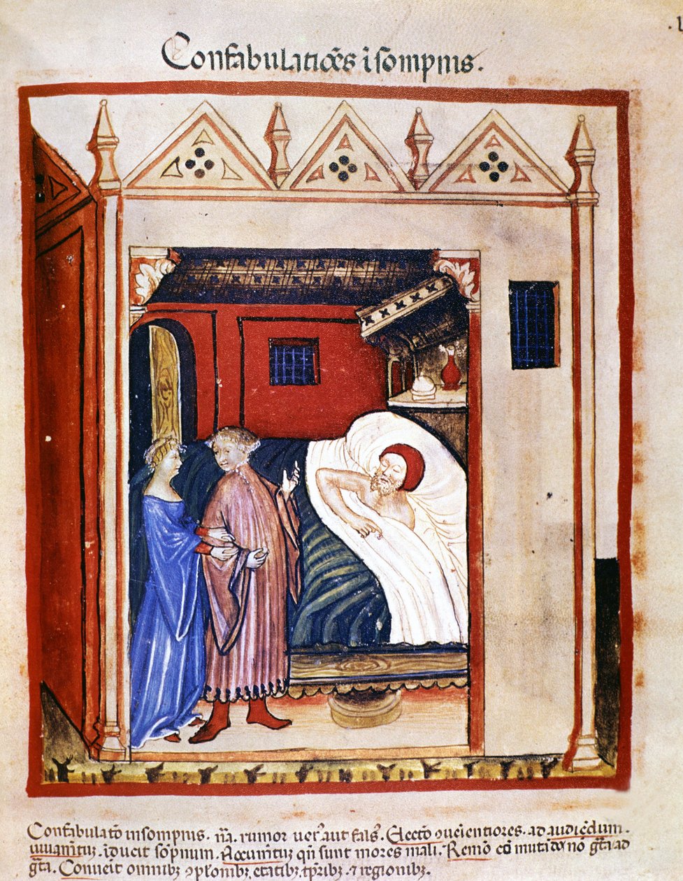 Medizinisches Traktat „Tacuinum sanitatis“ 14. Jahrhundert: Menschen, die im Schlaf sprechen. 14. Jahrhundert. B.N, Wien von Unknown artist