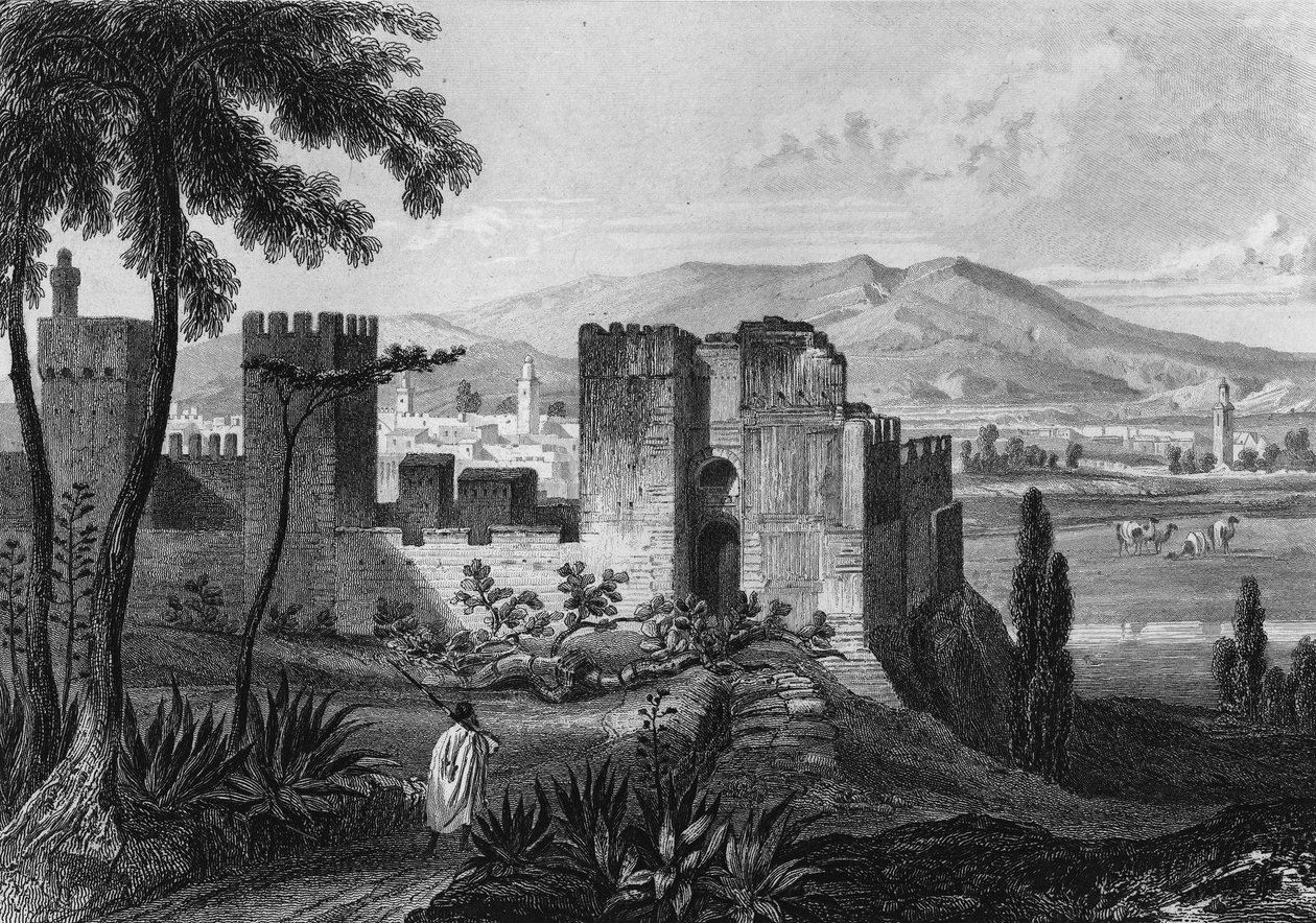 Ansicht der Umfriedung von Tlemsen (oder Tilimsen) in Algerien im 19. Jahrhundert. In „Algerie ancienne et moderne“ von Leon Galibert von Unknown artist