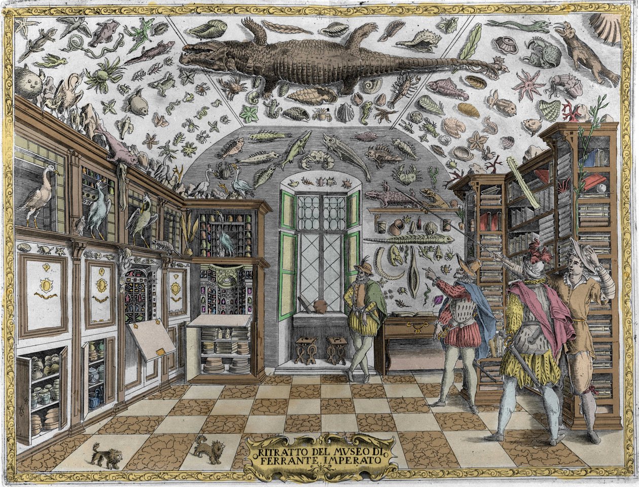Ansicht des Museums (Kabinetts) der Kuriositäten (enzyklopädisches Museum) des Apothekers Ferrante Imperato (1550 - 1631). Gravur von 1678. Museum des neapolitanischen Apothekers Ferrante Imperato. von Unknown artist