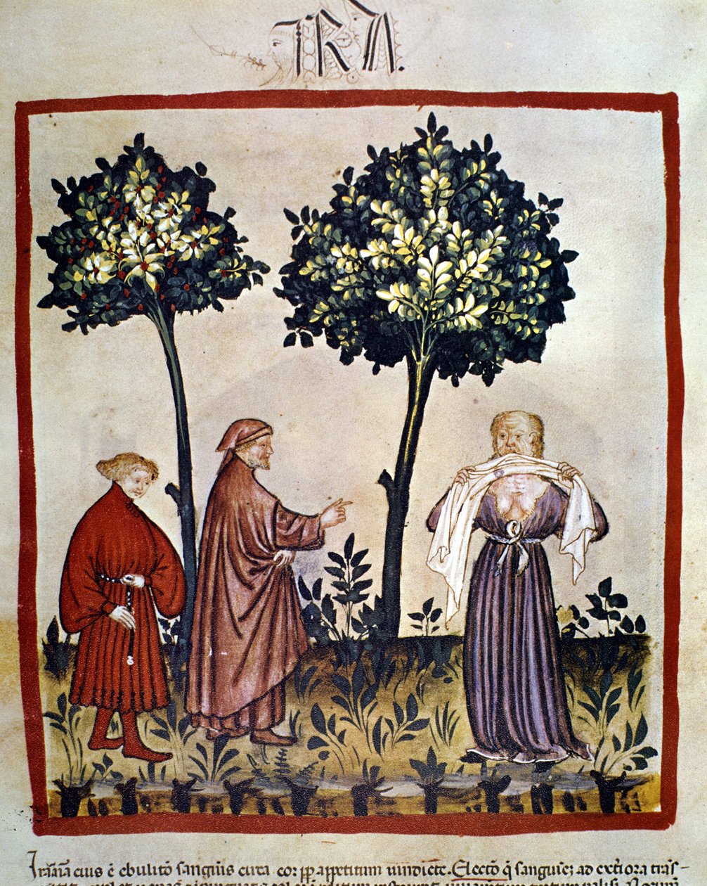 Tollwut oder wütende Person, die ein Tuch zwischen den Zähnen zusammenpresst. Beleuchtung des 14. Jahrhunderts des „Tacuinum Sanitatis“, Wien, Nationalbibliothek von Unknown artist