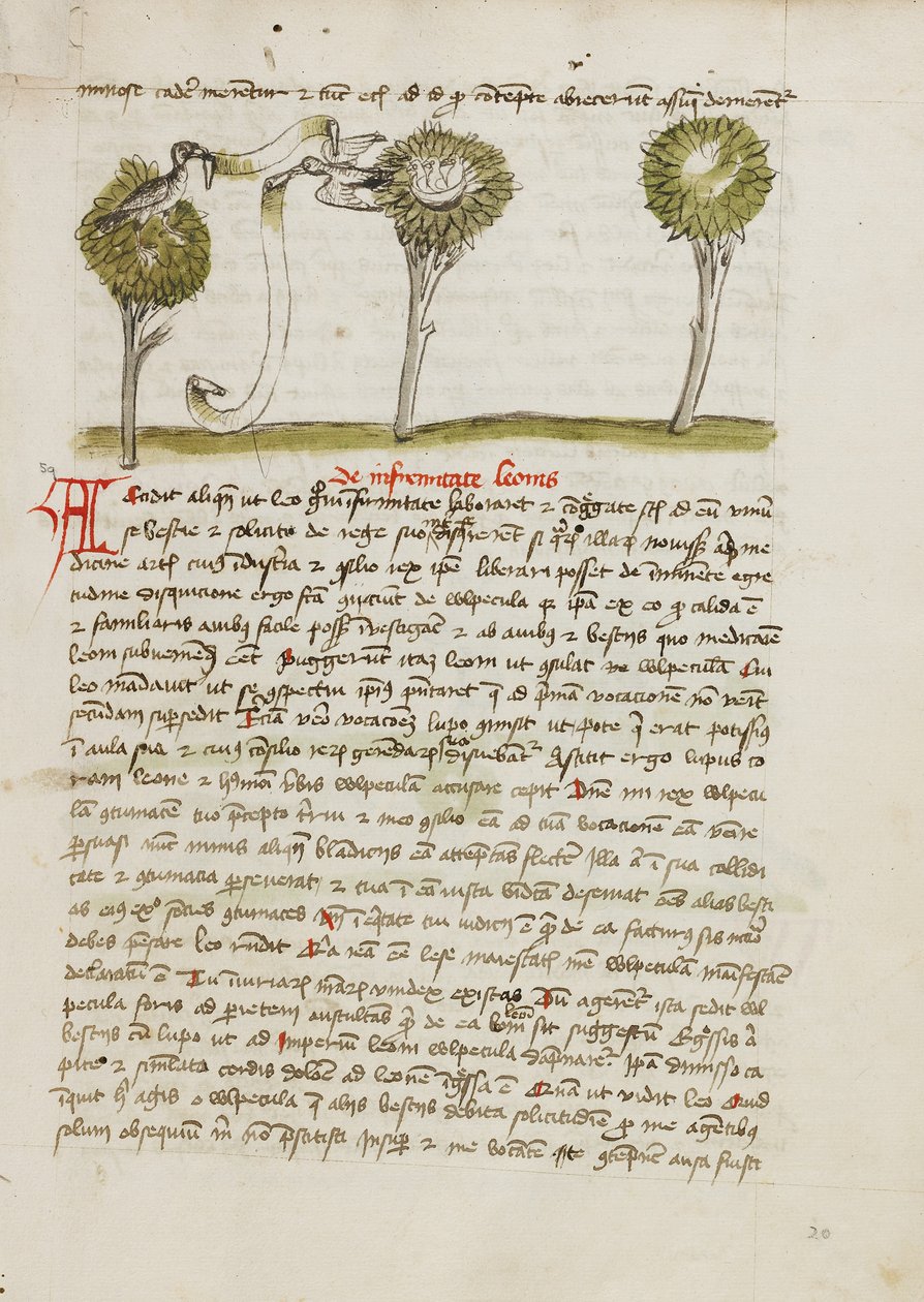 Ein Habicht auf einem Baum und eine Nachtigall, die von ihrem Nest wegfliegt von Unknown artist