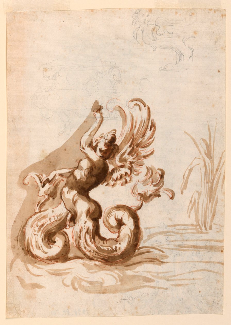 Ein geflügelter Mer-Hermaphrodit und Skizzen für eine Schale von Unknown artist