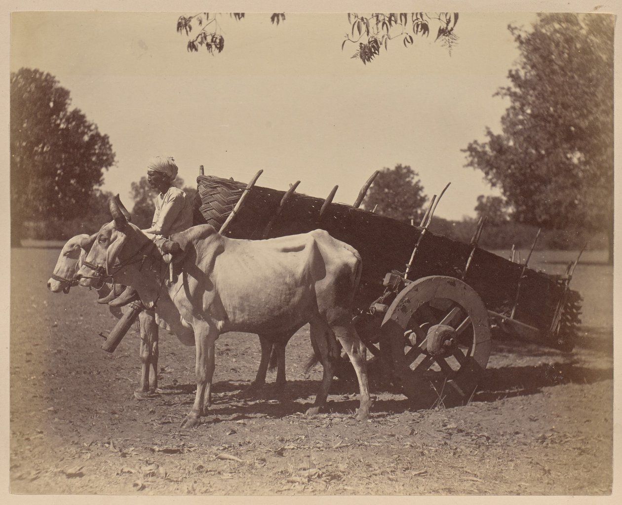 Landwirtschaftlicher Wagen, Guzerat von Unknown artist