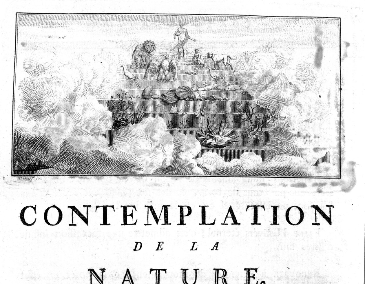 Allegorische Darstellung der Evolution des Menschen von Mineralien, über Pflanzen- und Tierarten. Charles Bonnet, Betrachtung der Natur, Neuchatel von Unknown artist