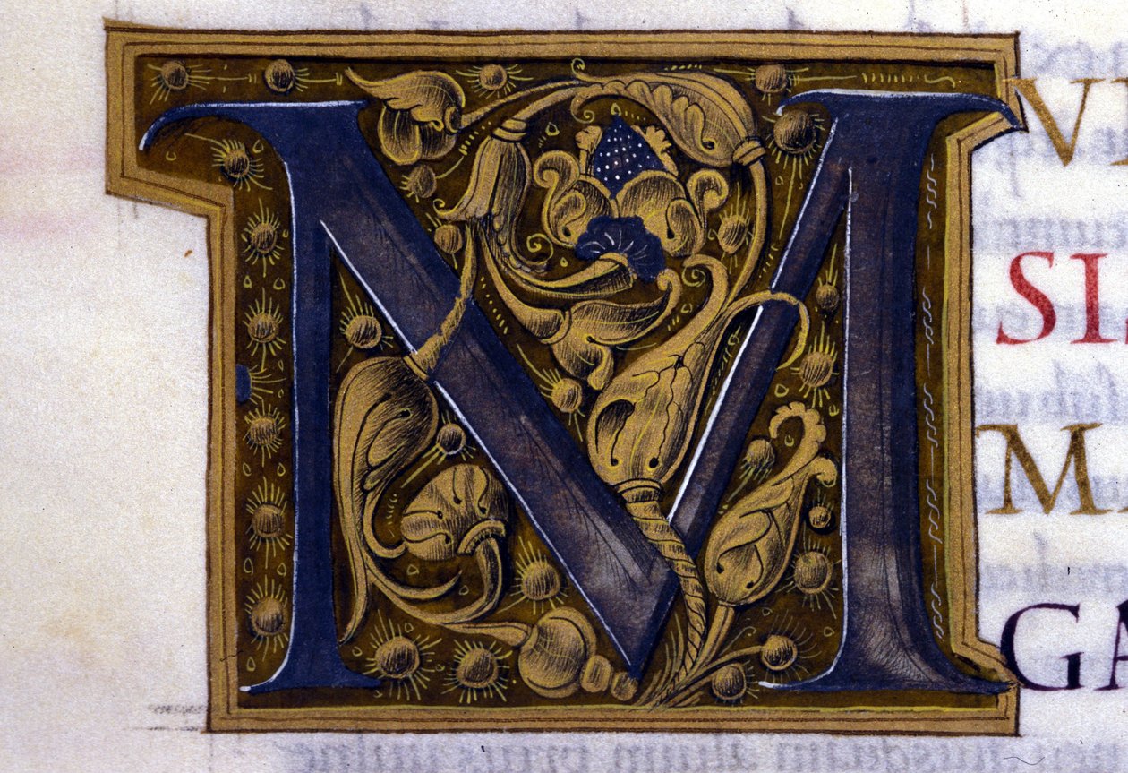 Alphabet: miniaturisierter Buchstabe M von Unknown artist