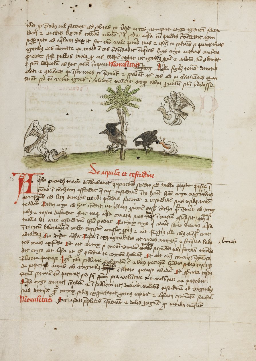 Ein Adler ergreift eine Schnecke; Eine Krähe pickt an einer Schnecke von Unknown artist