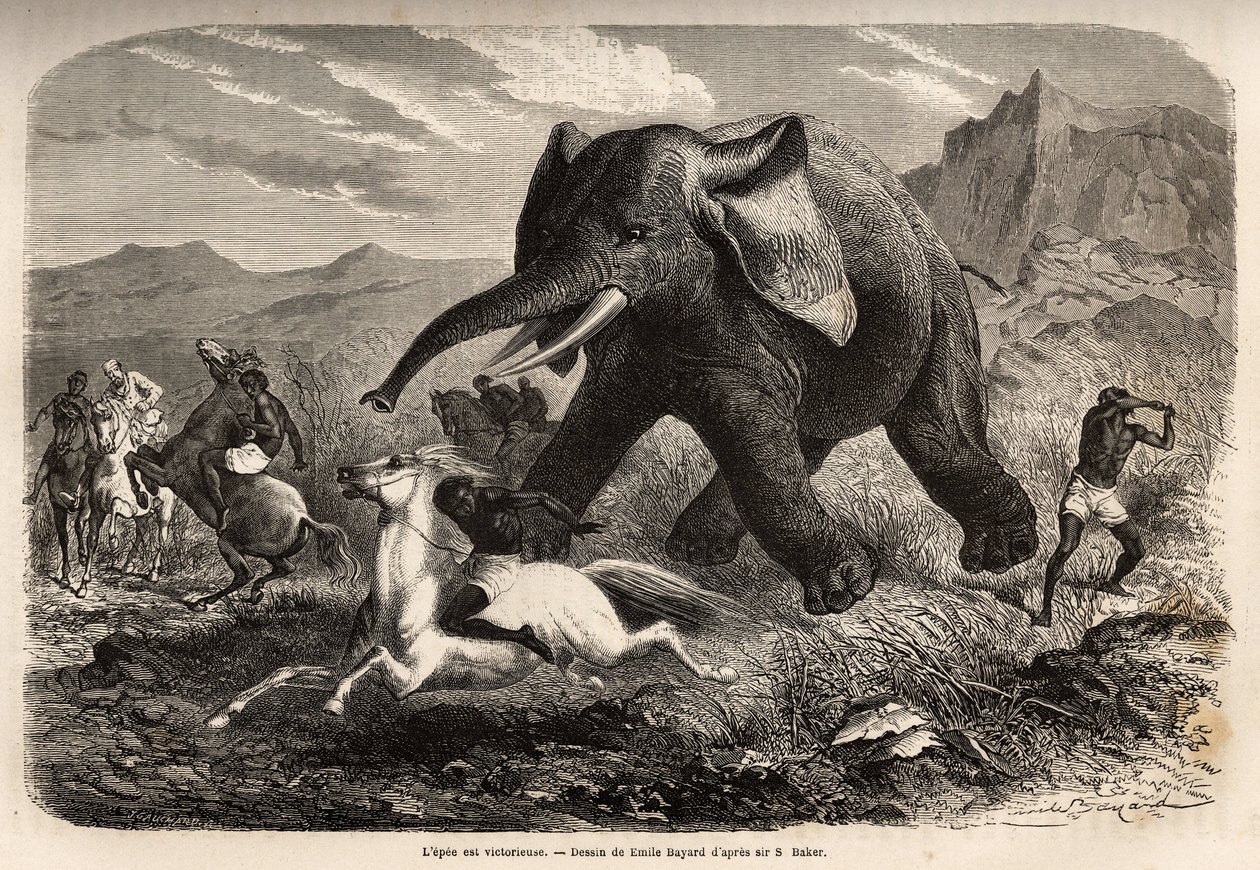 Ein Elefant beendet die Truppe, die ihn verfolgte, und greift die Jäger zu Pferd an, während einer der Jäger seinen Arm hebt, um ihn zu stoppen und mit einem Sumpf zu beenden. Gravur zur Illustration der Erforschung der abessinischen Nebenflüsse des Nils,  von Unknown artist