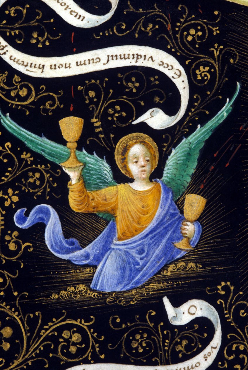 Engel, der zwei Kelche hält. Miniatur von Belbello da Pavia von Unknown artist