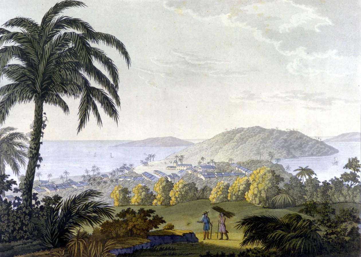 Brasilien, Ansicht der Stadt Ilheus im Bundesstaat Bahia von Unknown artist