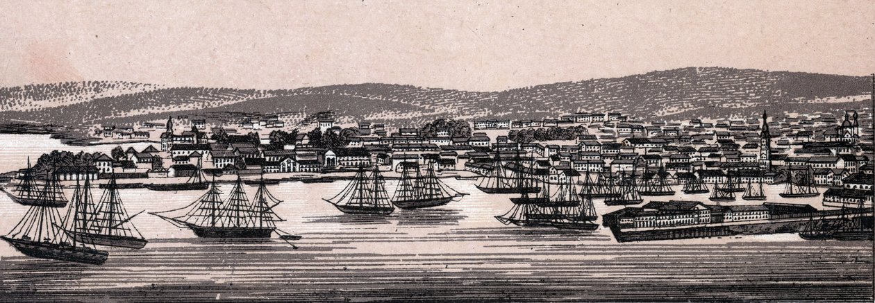 Christiania, Dänemark: Blick auf die Stadt (Gesamtansicht) von Unknown artist
