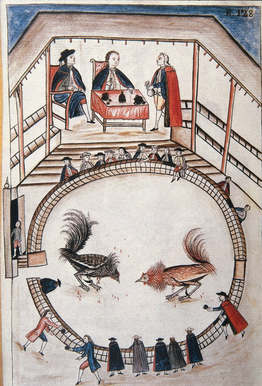 Hahnenkampf, ein Adliger wohnt dem Duell bei, aus dem Buch "Trujillo del Peru" oder "Códice Martínez Compañón", von Baltazar Martinez Compañón y Bujanda, Bischof von Trujillo (1782-1785) von Unknown artist