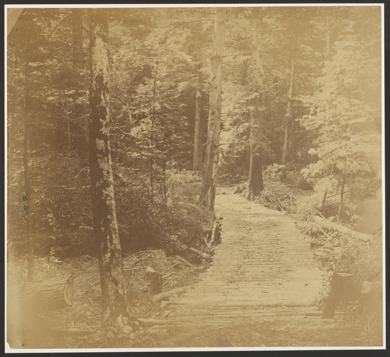 [Kordstraße auf dem Weg nach Harper