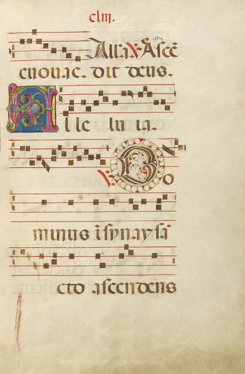 Dekorierte Initiale A; Dekorierte Initiale D von Unknown artist