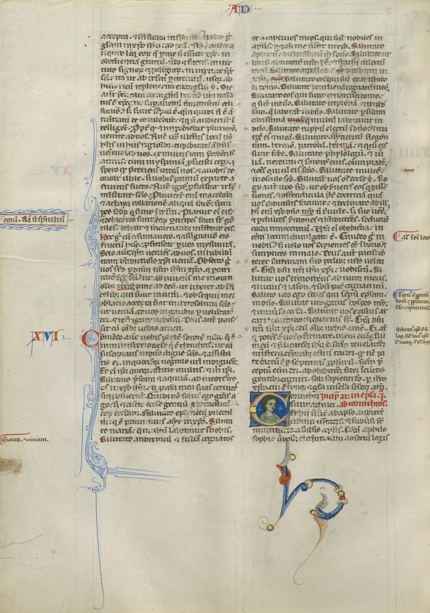 Geschmückte Initiale C von Unknown artist