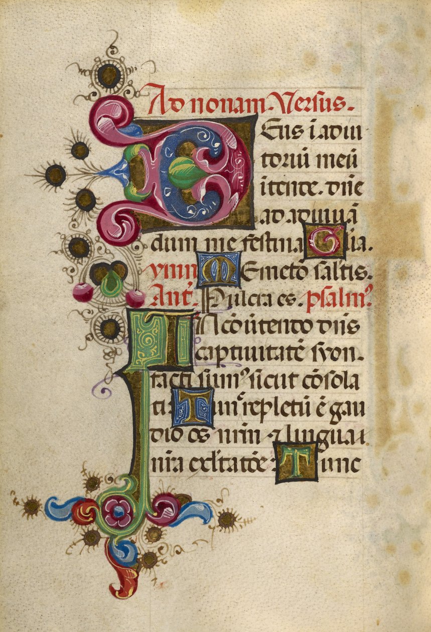 Dekoriertes Initial D; Dekoriertes Initial I von Unknown artist