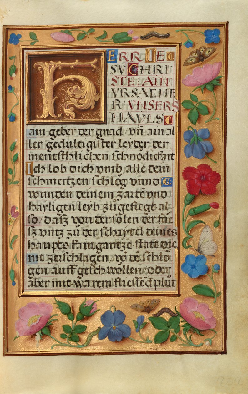 Dekorierte Textseite von Unknown artist