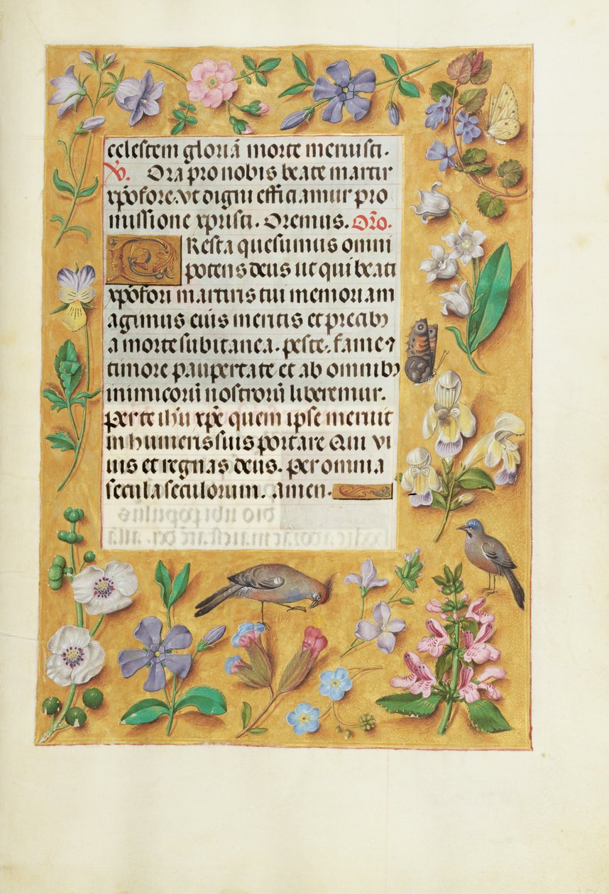 Geschmückte Textseite von Unknown artist