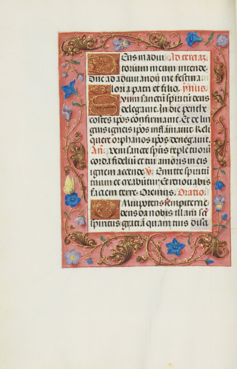 Dekorierte Textseite von Unknown artist
