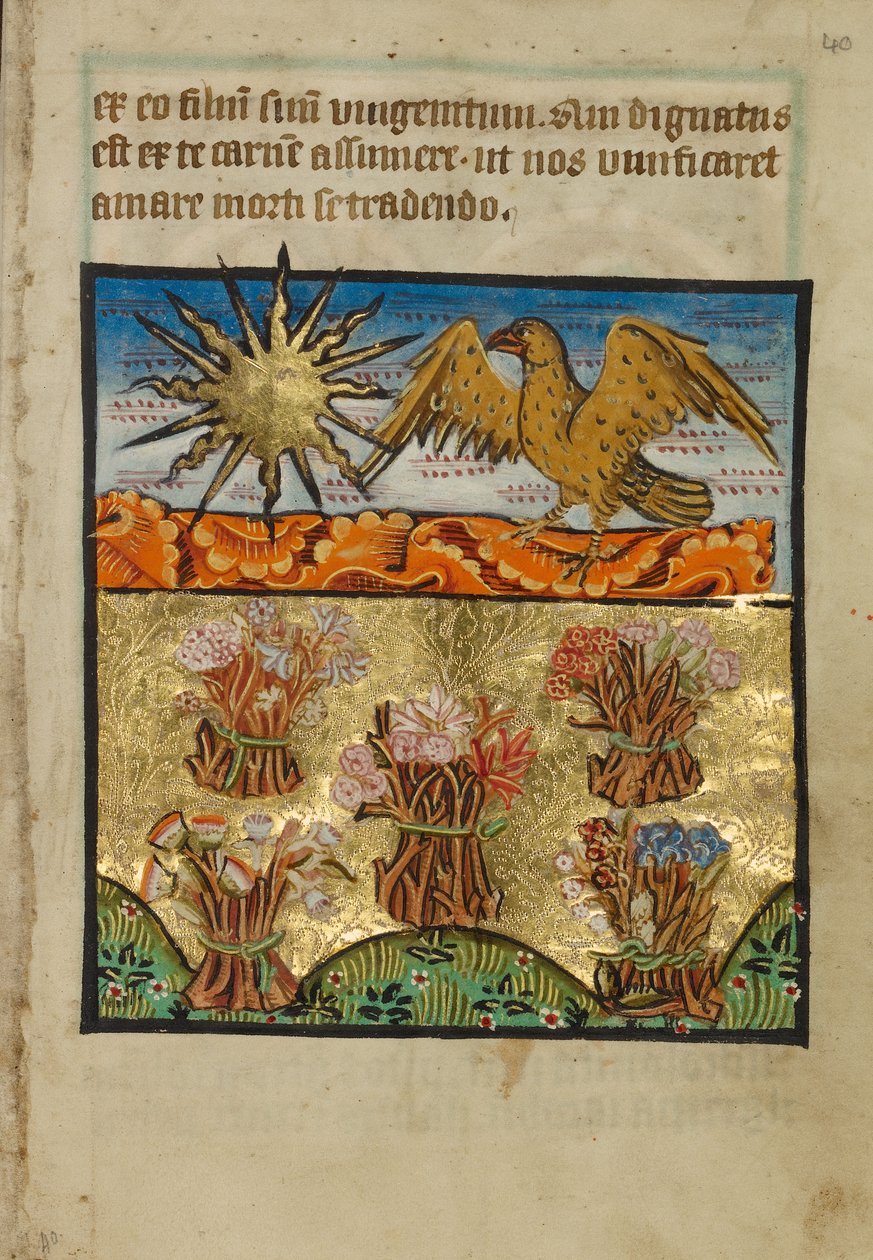 Fünf Blumensträuße von Unknown artist