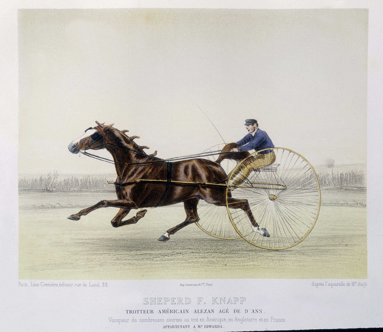 Reiten: Schäfer F. Knapp, Traber - in „the centaur“ von Unknown artist