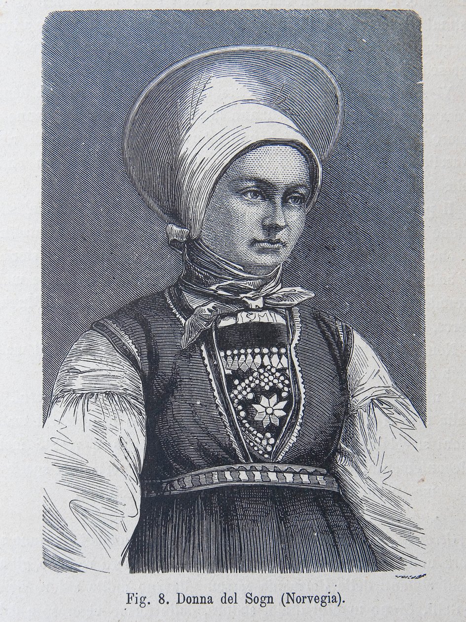Illustration aus "Die menschliche Rasse" von Louis Figuier von Unknown artist
