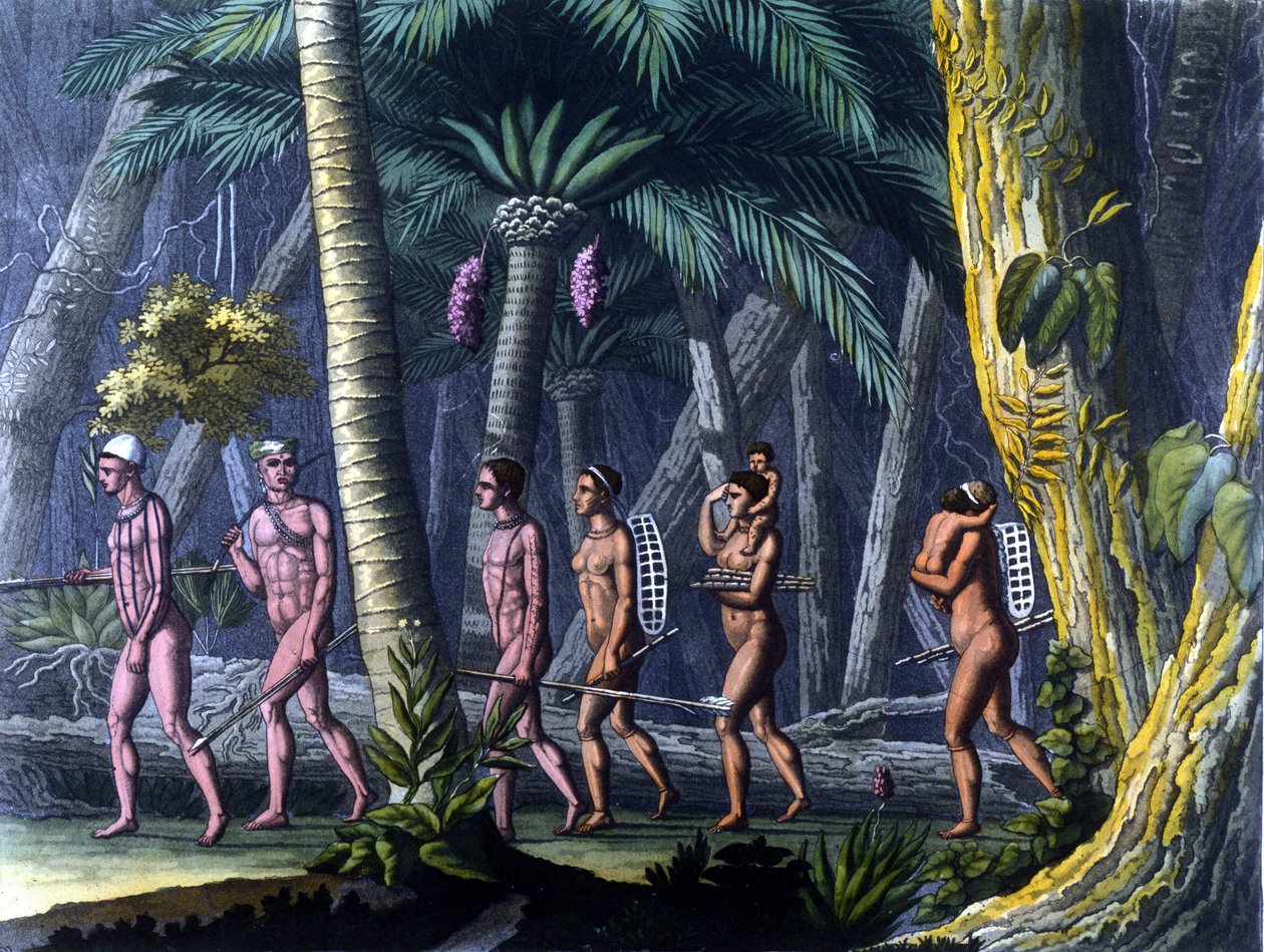 Indiens Puris im Wald (Brasilien) - in „Le costume ancien et moderne“ von Ferrario, ed. Mailand von Unknown artist