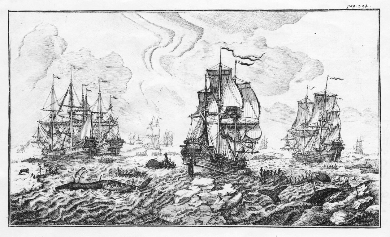 La chasse à la caleine von Unknown artist