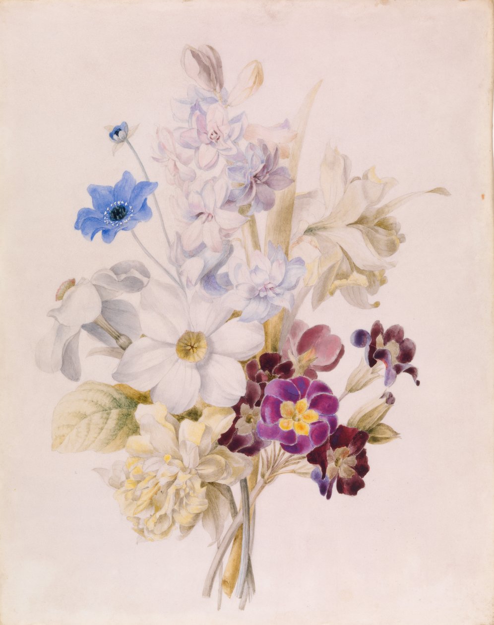Narzissen und andere Blumen von Unknown artist