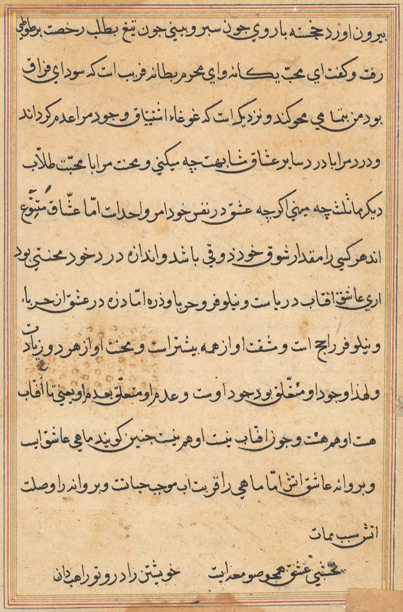 Seite aus Geschichten eines Papageis (Tuti-nama): Textseite von Unknown artist