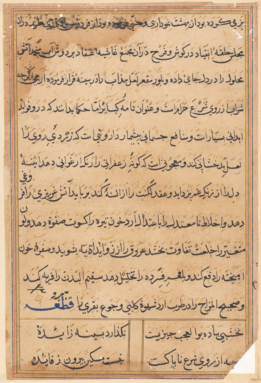 Seite aus Geschichten eines Papageis (Tuti-nama): Textseite von Unknown artist