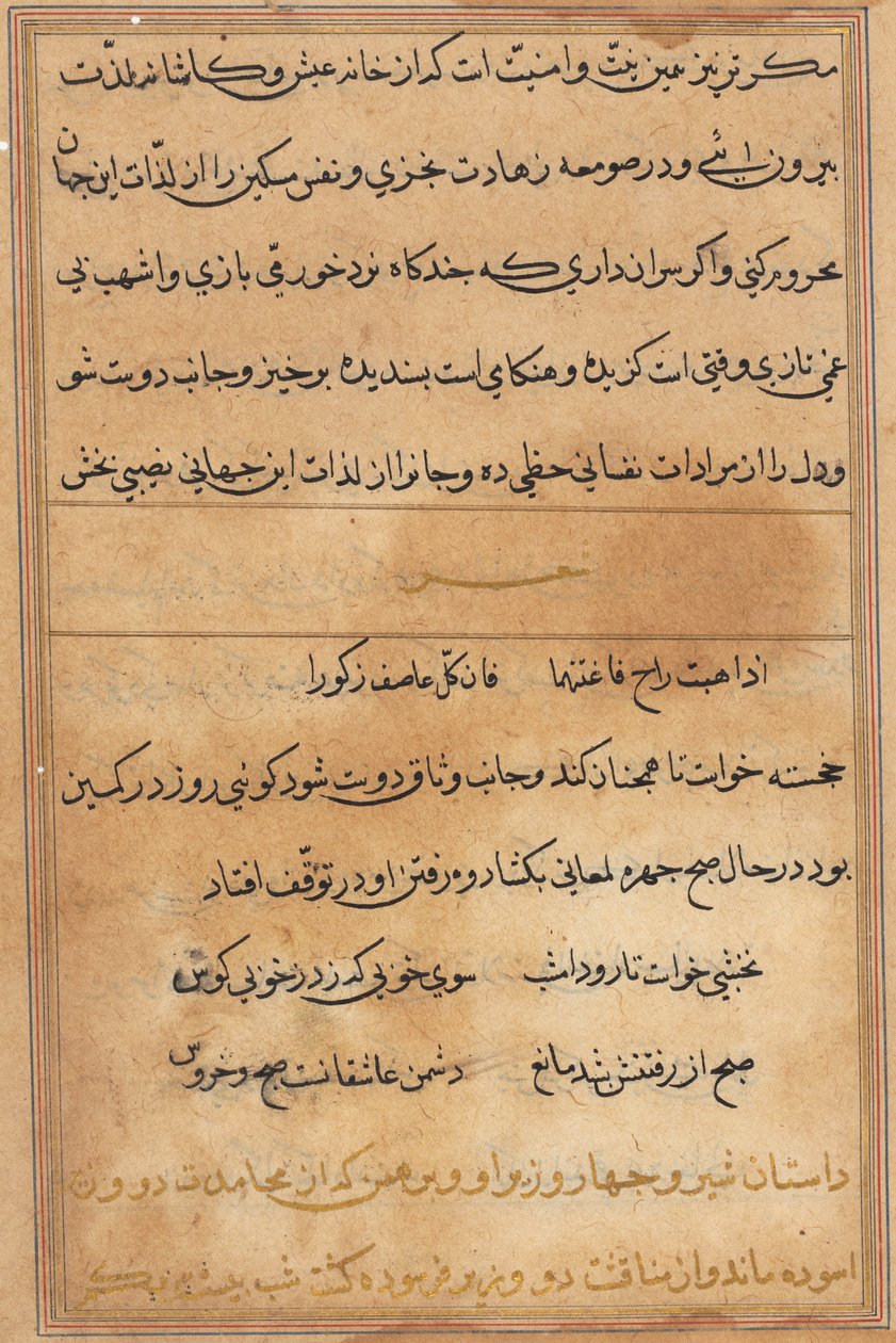 Seite aus Geschichten eines Papageis (Tuti-nama): Textseite von Unknown artist