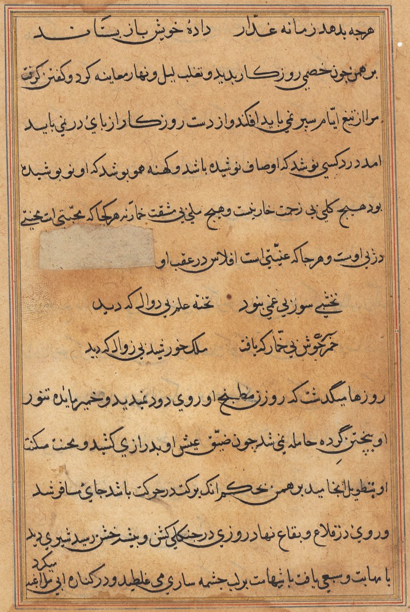 Seite aus Geschichten eines Papageis (Tuti-nama): Textseite von Unknown artist