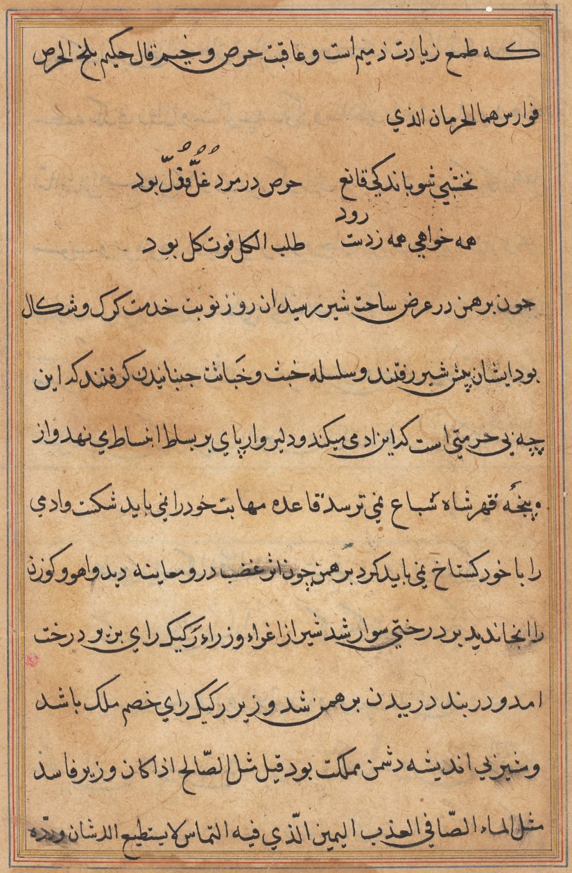 Seite aus Geschichten eines Papageis (Tuti-nama): Textseite von Unknown artist
