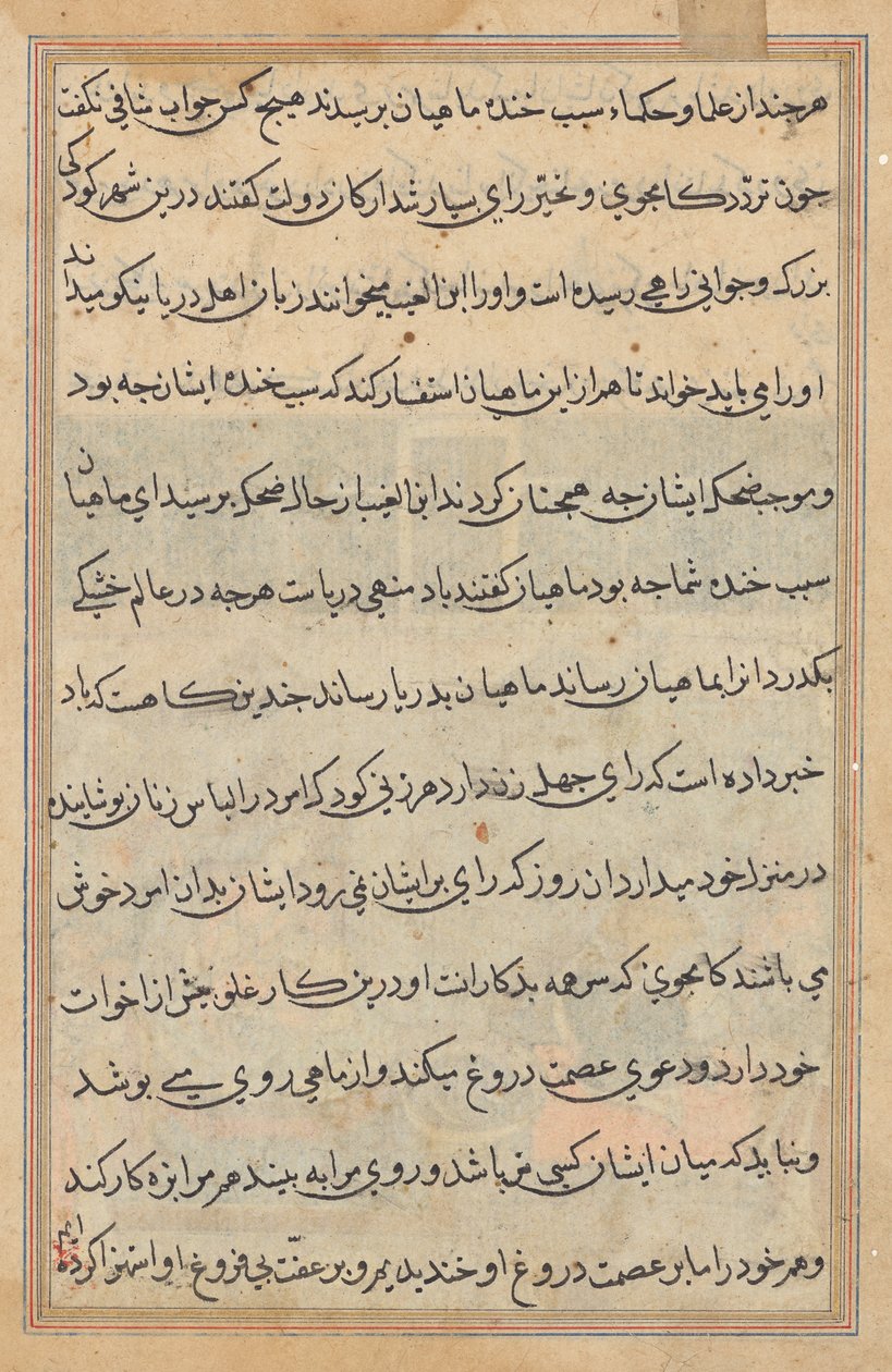 Seite aus Geschichten eines Papageis (Tuti-nama): Textseite von Unknown artist