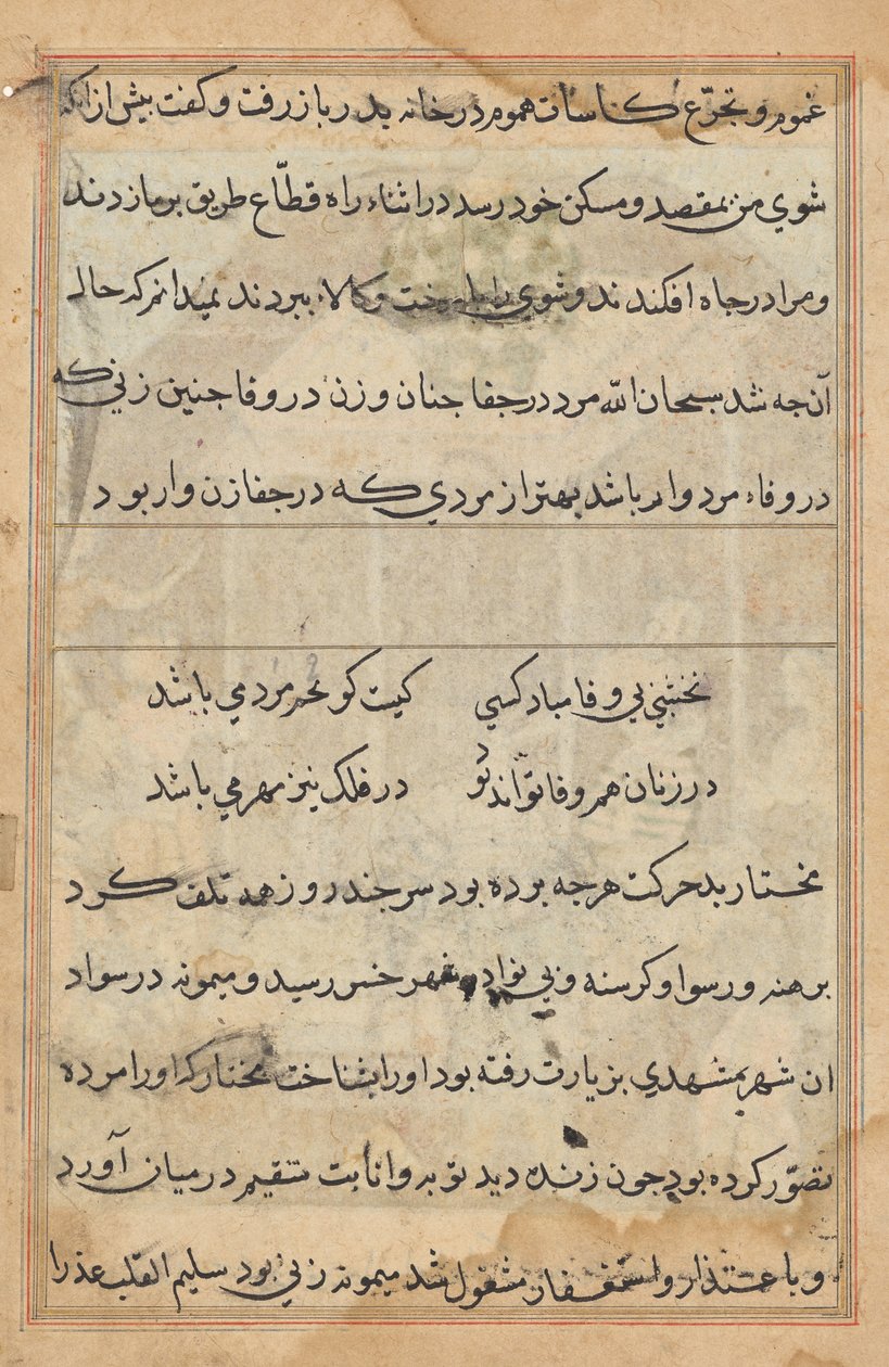 Seite aus Geschichten eines Papageis (Tuti-nama): Textseite von Unknown artist