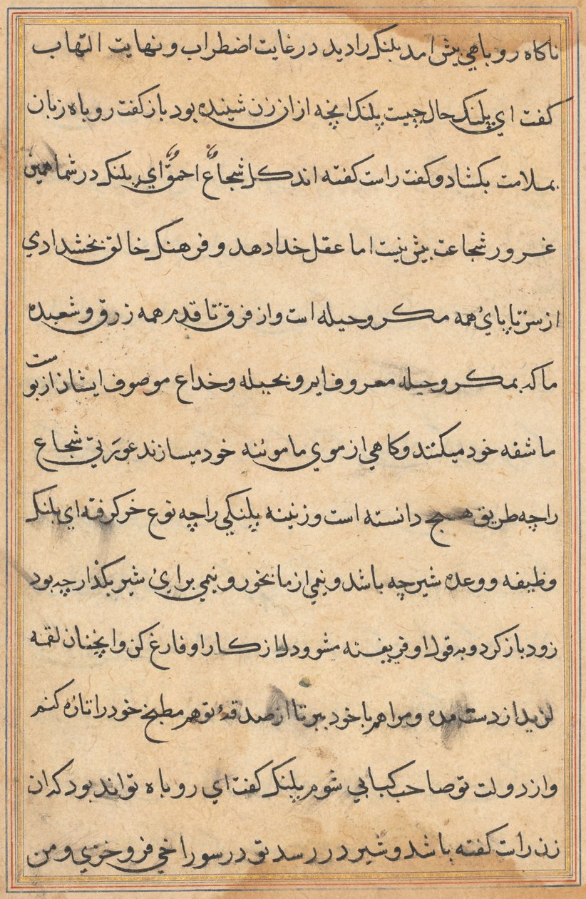 Seite aus Geschichten eines Papageis (Tuti-nama): Textseite von Unknown artist