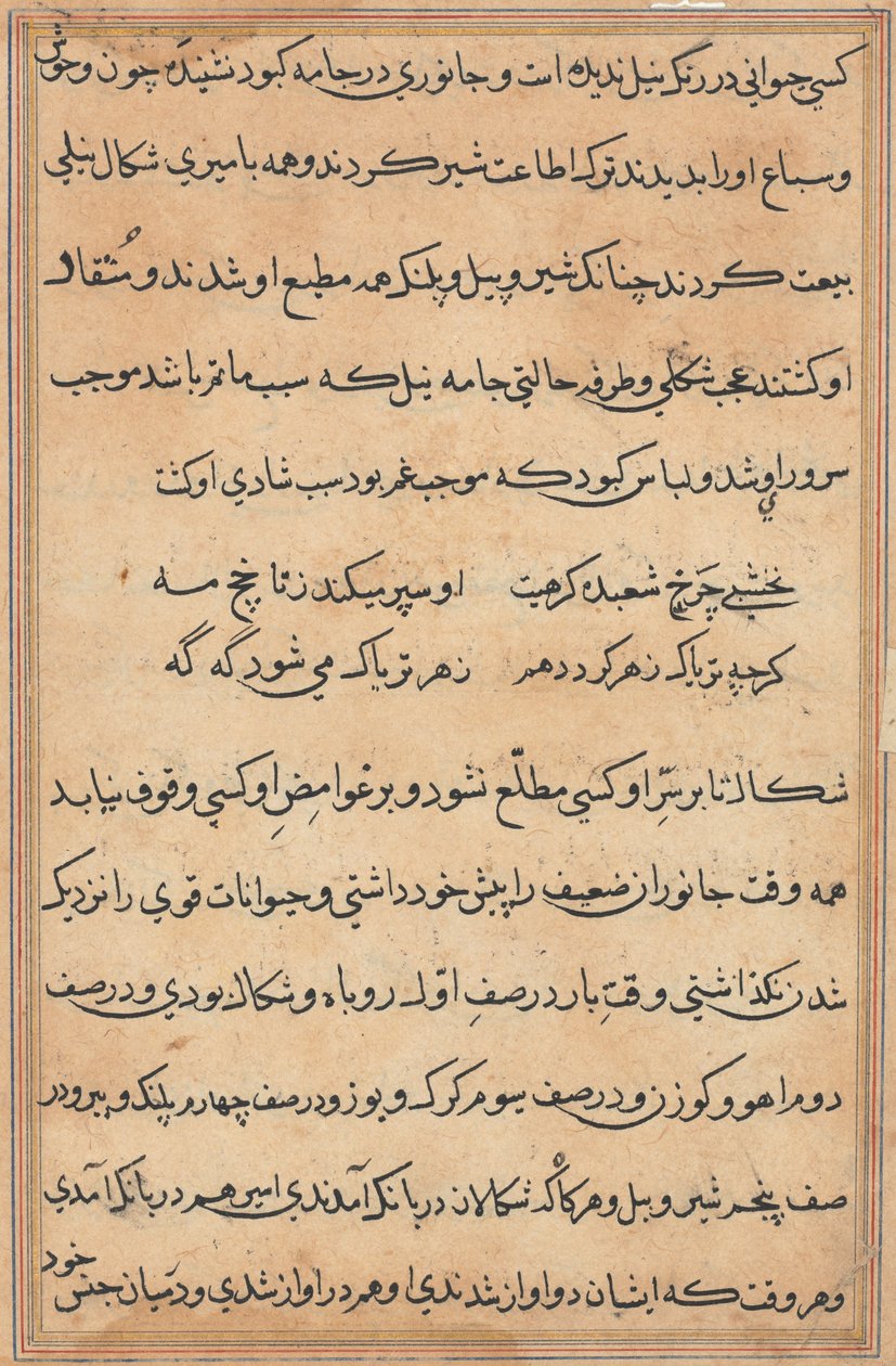 Seite aus Geschichten eines Papageis (Tuti-nama): Textseite von Unknown artist