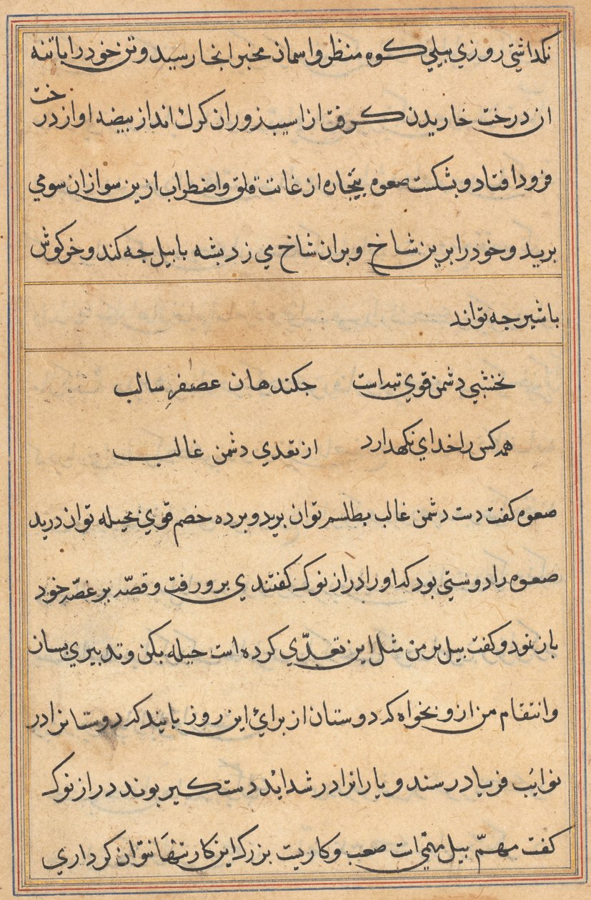 Seite aus Geschichten eines Papageis (Tuti-nama): Textseite von Unknown artist